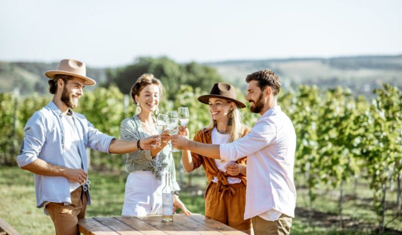 Douro Valley Private Tour With 2 Wine Tastings - Winery Explorations