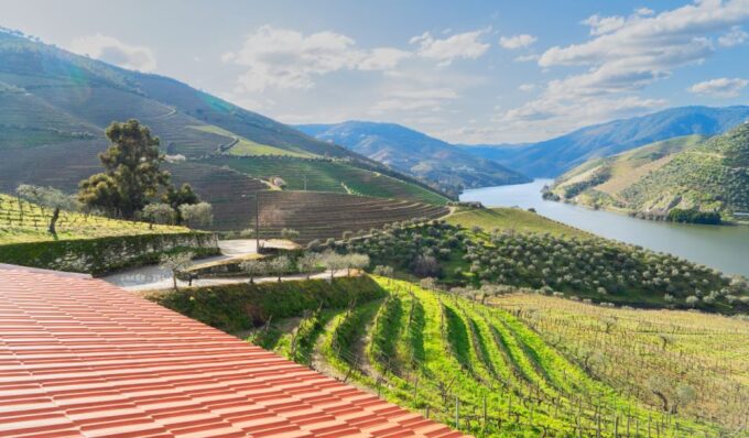 Douro Valley Private Tour With 2 Wine Tastings - Landscape Vistas
