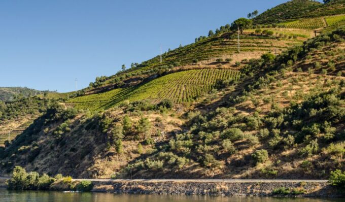 Douro Valley Private Tour With 2 Wine Tastings - Exclusive Tastings