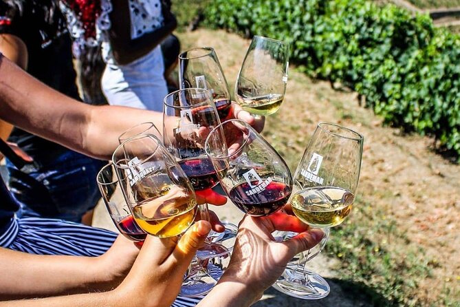 Douro Valley Private Tour With Tasting Included - Pickup and Accessibility