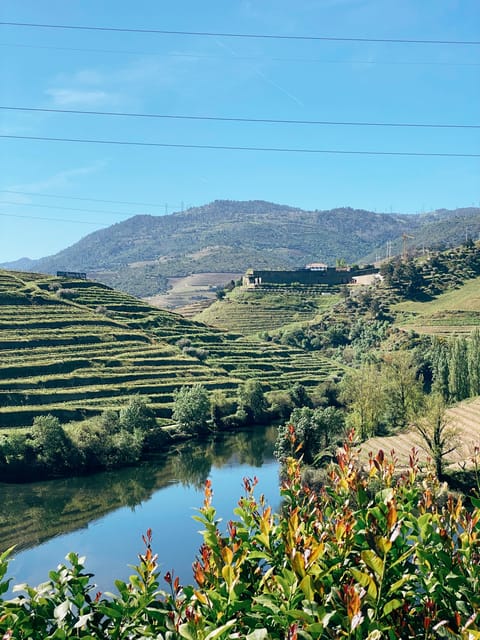 Douro Valley: PRIVATE TOURS With Wine Tasting and Lunch - Important Information
