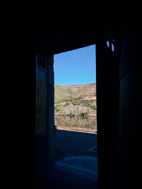 Douro Valley: PRIVATE TOURS With Wine Tasting and Lunch - Key Points
