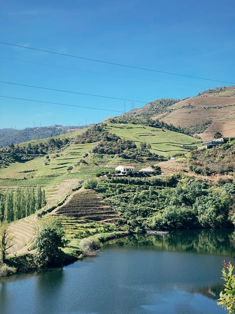 Douro Valley: PRIVATE TOURS With Wine Tasting and Lunch - Inclusions