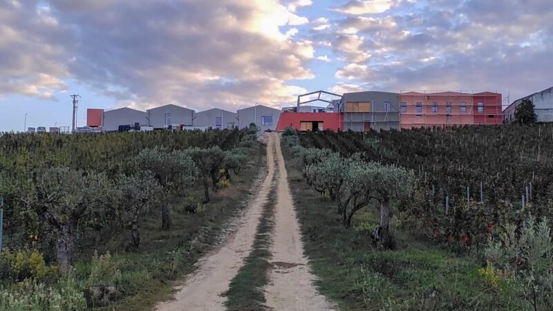 Douro Valley: QUEVEDO DISCOVERY (PORT & DOURO WINES) - Experience Highlights