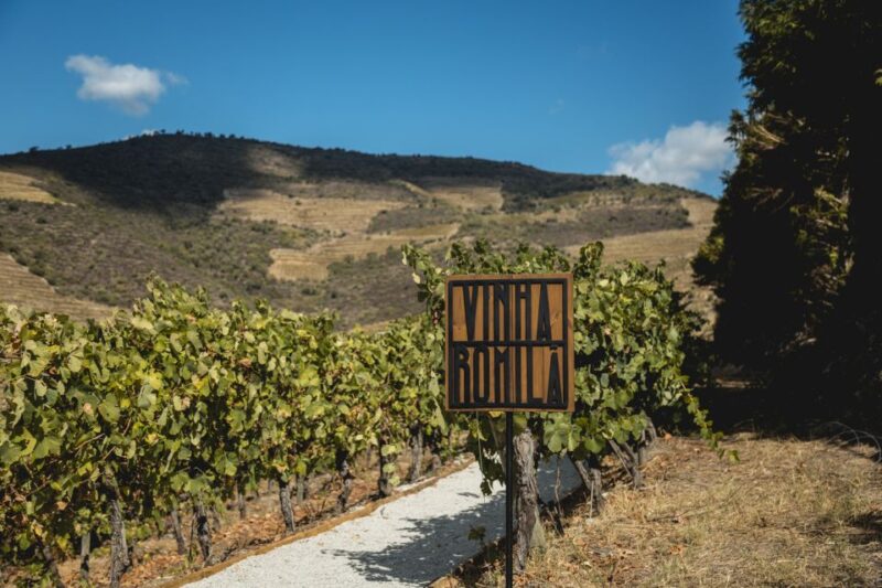 Douro Valley: Quinta De S. Luiz Winery Tour and Tasting - Customer Reviews and Feedback