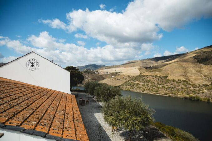 Douro Valley: Quinta De S. Luiz Winery Tour and Tasting - Accessibility and Mobility Considerations