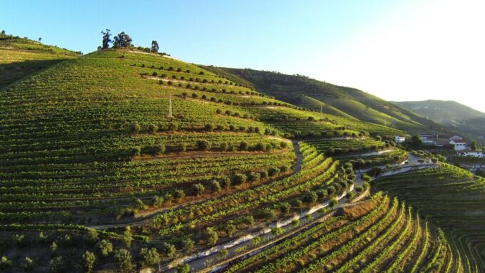 Douro Valley: Quinta De S. Luiz Winery Tour and Tasting - Frequently Asked Questions