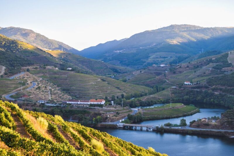 Douro Valley: Quinta Do Tedo Wine Experience With Picnic - Picnic Details