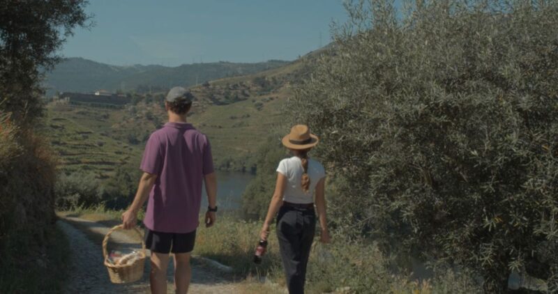 Douro Valley: Quinta Do Tedo Wine Experience With Picnic - Meeting Point and Transportation