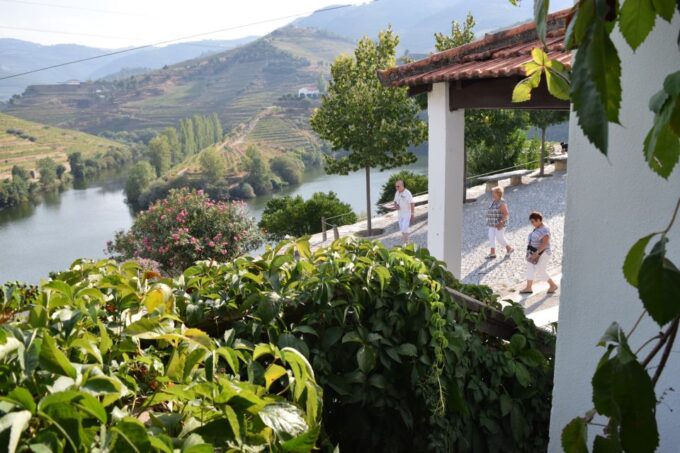 Douro Valley: Quinta Do Tedo Wine Experience With Picnic - Customer Feedback Highlights