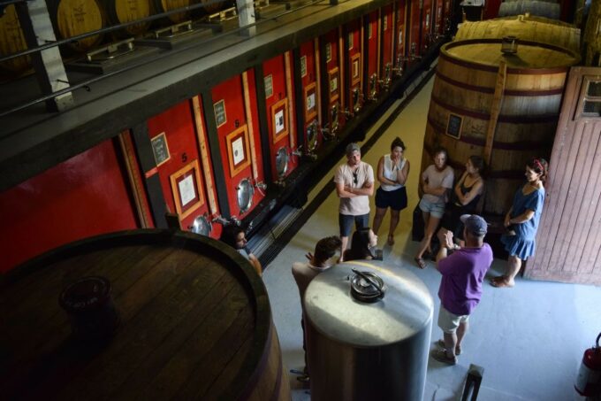 Douro Valley: Quinta Do Tedo Wine Experience With Picnic - Cancellation Policy
