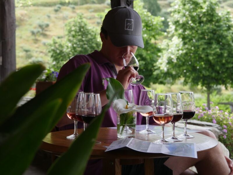Douro Valley: Quinta Do Tedo Winery Tour and Tasting - 18th-Century Cellar Tour