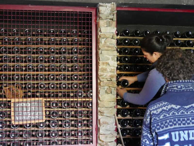 Douro Valley: Quinta Do Tedo Winery Tour and Tasting - Foot Treading Process
