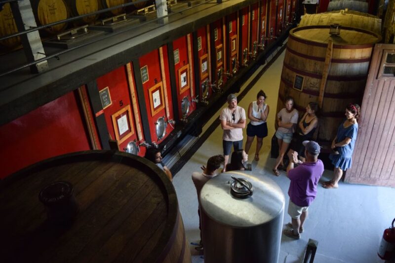 Douro Valley: Quinta Do Tedo Winery Tour and Tasting - Stunning Vineyard Views