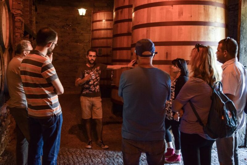 Douro Valley: Quinta Do Tedo Winery Tour and Tasting - Meeting Point Location