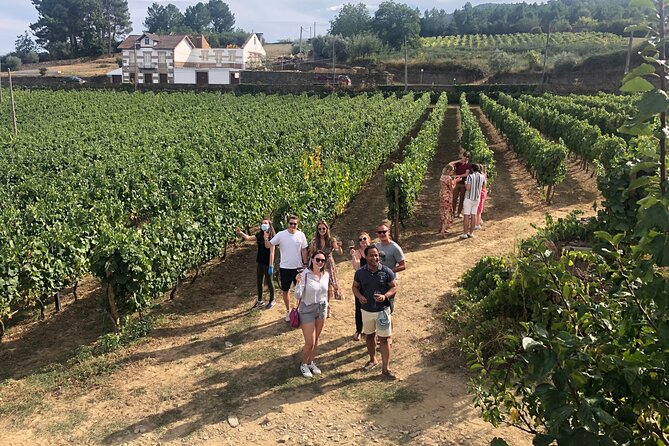 Douro Valley: Small-Group Tour Wine Tasting, Lunch, River Cruise - Exploring the Douro Valley