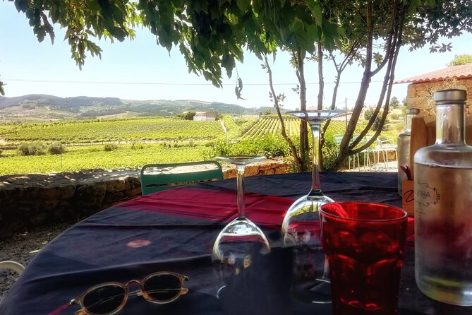 Douro Valley: Small-Group Tour Wine Tasting, Lunch, River Cruise - Traditional Portuguese Lunch
