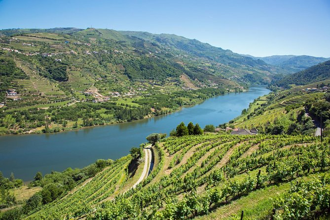 Douro Valley: Small-Group Tour Wine Tasting, Lunch, River Cruise - Olive Oil and Honey Tasting