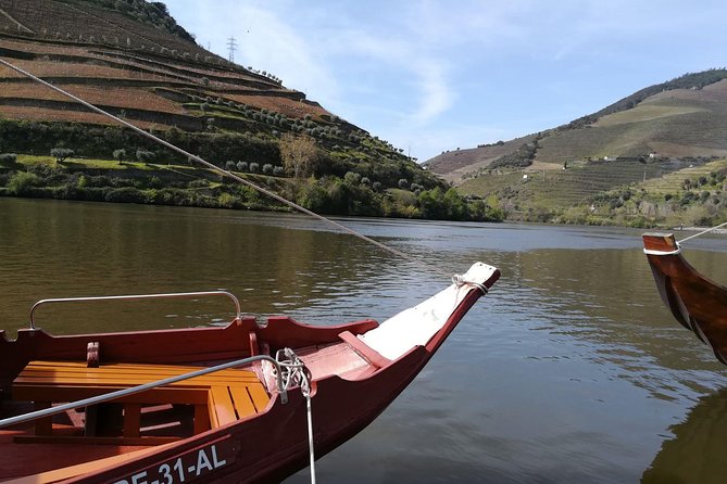 Douro Valley: Small-Group Tour Wine Tasting, Lunch, River Cruise - Small-Group Tour Experience