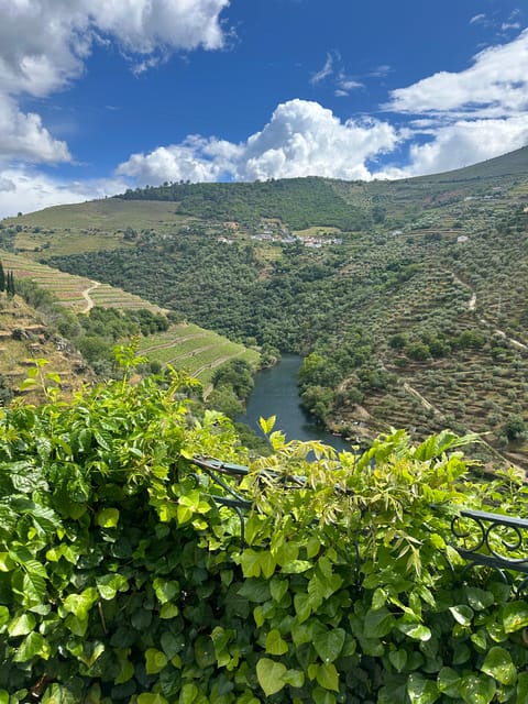 Douro Valley Tour - Itinerary Highlights