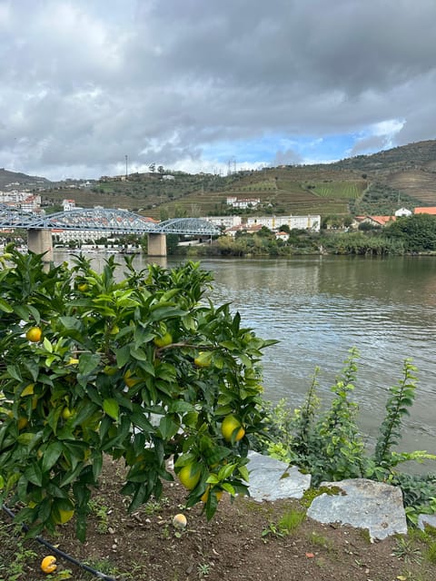 Douro Valley Tour - Starting Location