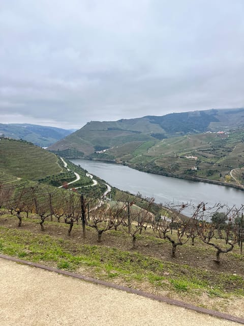 Douro Valley Tour - Douro River Boat Cruise