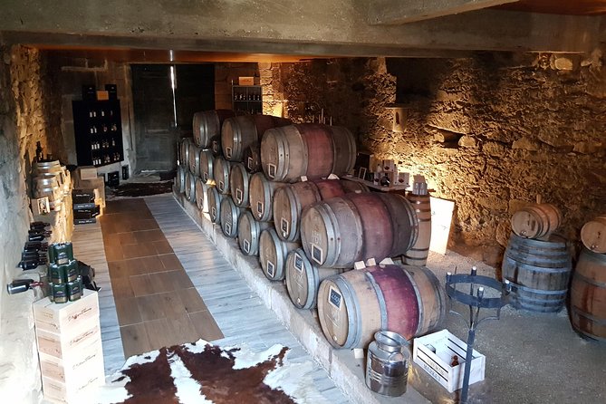 Douro Valley Tour: 2 Vineyard Visits, River Cruise, Winery Lunch - Hotel Pickup and Drop-Off
