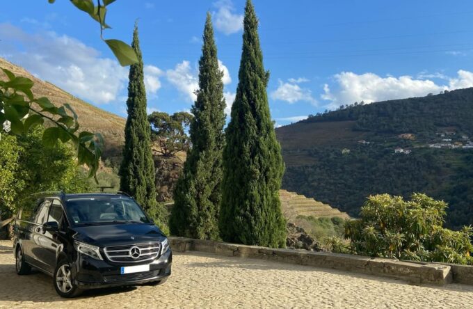 Douro Valley Tour - Wine Tasting Experience