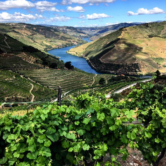 Douro Valley Tour - Boat Cruise on the Douro