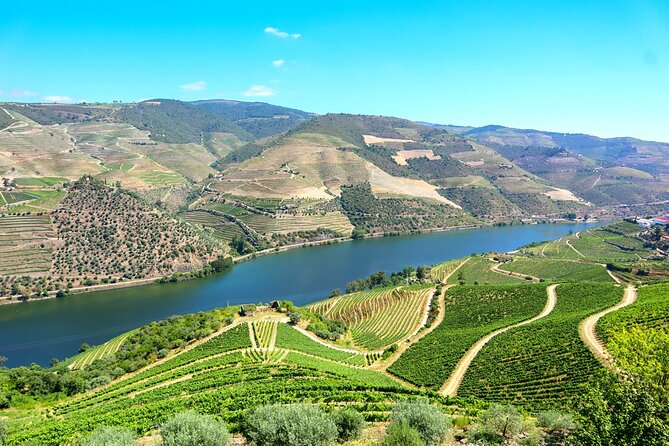 Douro Valley Tour: 3 Wineries, 9 Wine Tastings and Lunch - Pickup and Drop-off Service