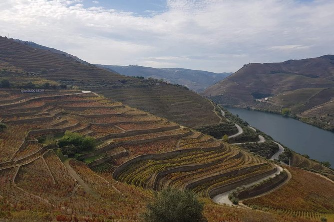 Douro Valley Tour From Peso Da Regua - Meeting and End Point