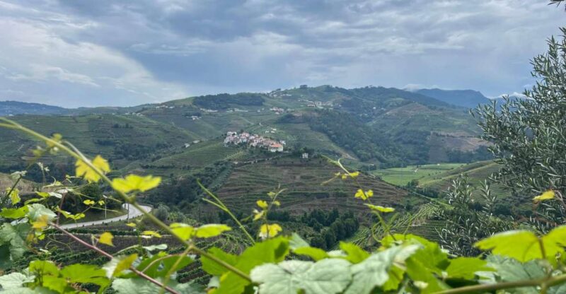 Douro Valley Tour - Highlights of the Tour