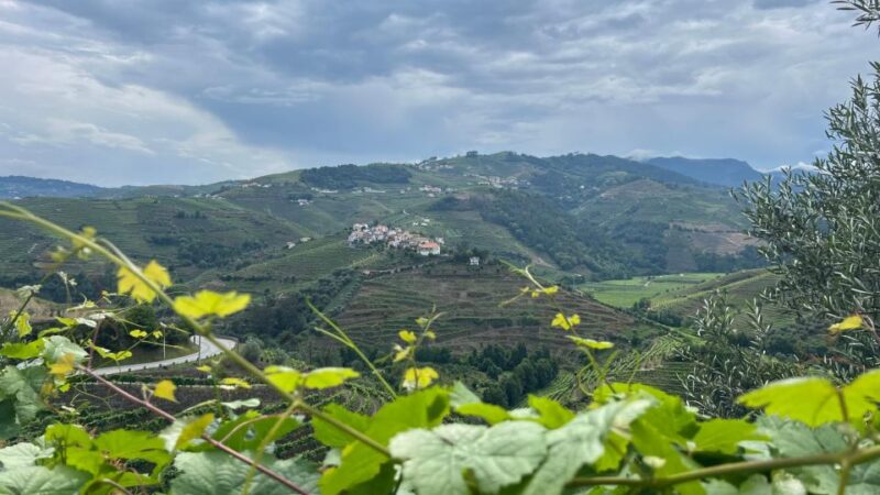 Douro Valley Tour - Important Information