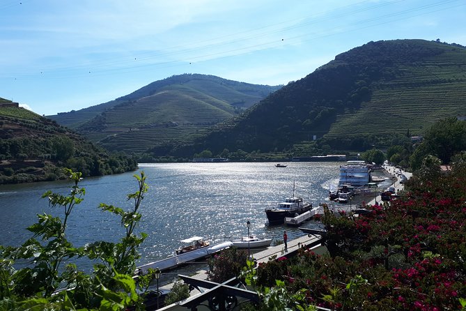 Douro Valley Tour (wine & Food) - Food and Wine Tastings in Pinhao