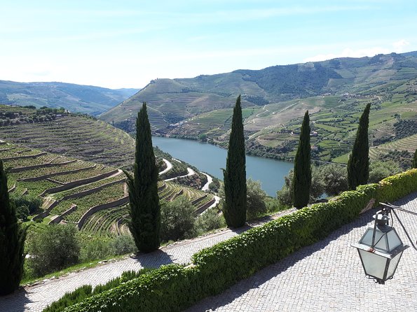 Douro Valley Tour (wine & Food) - Optional Rabelo Sightseeing Tour