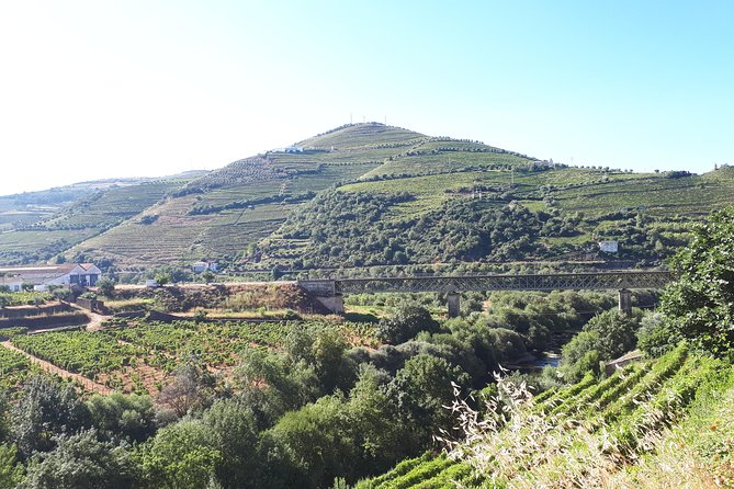 Douro Valley Tour (wine & Food) - Reviews and Ratings