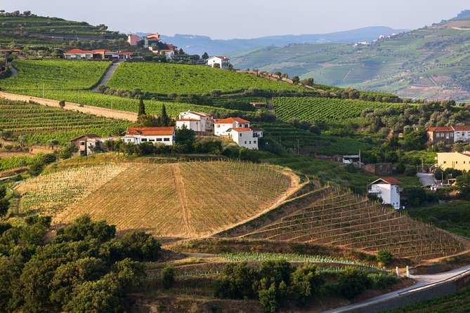 Douro Valley Tour: Wine Tasting, Cruise and Lunch From Porto - Tour Duration and Schedule