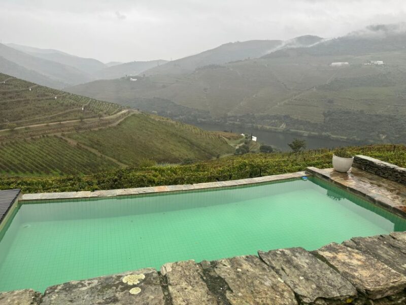 Douro Valley Tour With 2 Wine Tastings Included - Local Gastronomy and Wines