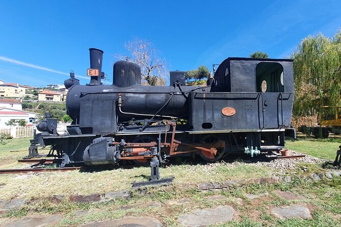 Douro Valley Tour With Train and Vinho Verde - Quick Points