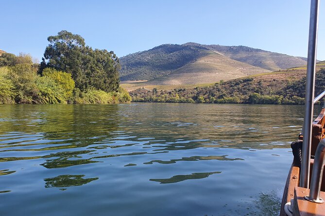 Douro Valley Tour With Train and Vinho Verde - Tasting the Flavors of Portugal