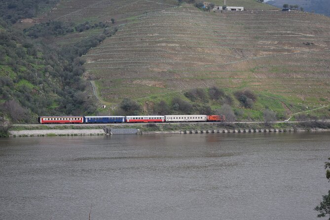 Douro Valley Tour With Train and Vinho Verde - Positive Traveler Testimonials