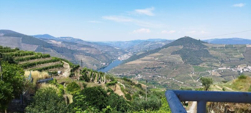 Douro Valley Tour With Wine Tasting Boat Cruise & Suprises.. - Key Points