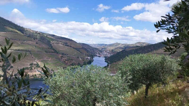 Douro Valley Tour With Wine Tasting Boat Cruise & Suprises.. - Experience Details