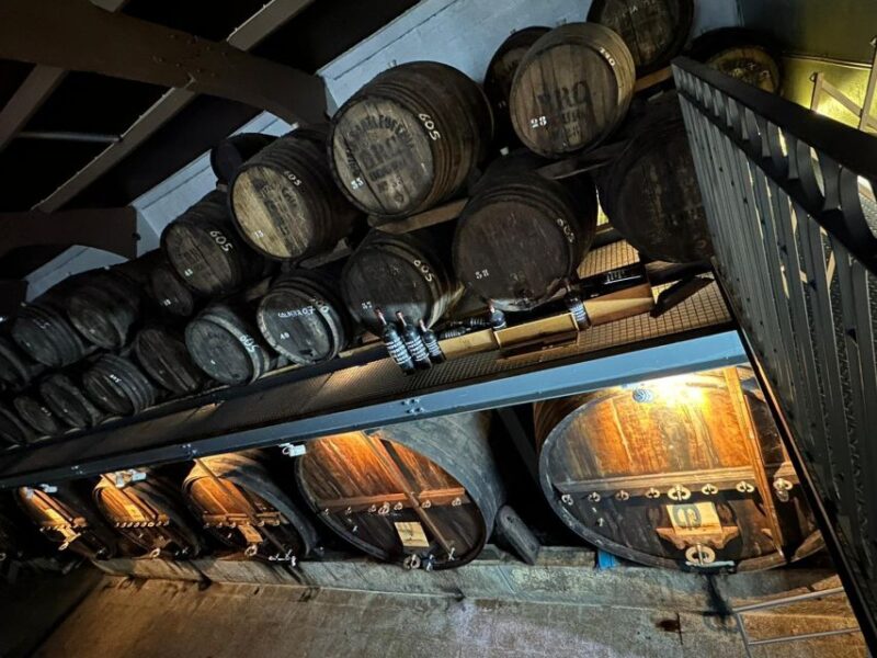 Douro Valley Tour With Wine Tasting Boat Cruise & Suprises.. - Preparation and Recommendations