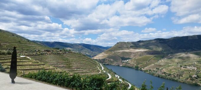 Douro Valley Tour With Wine Tasting Boat Cruise & Suprises.. - Pickup and Arrival