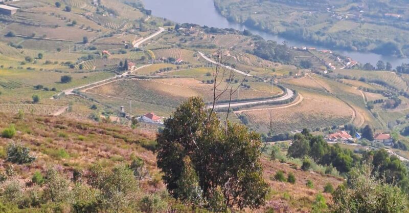 Douro Valley Tours, Braga Guimarães, Santiago Compostela - Inclusions and Amenities