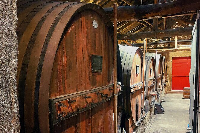 Douro Valley Unesco Heritage Fantastic Lunch & Wine Tasting - Questions and Assistance