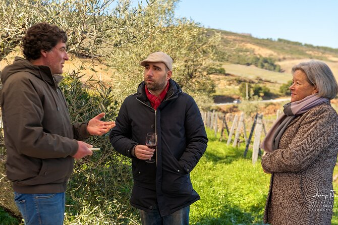 Douro Valley Unesco Heritage Fantastic Lunch & Wine Tasting - Exploring UNESCO Heritage