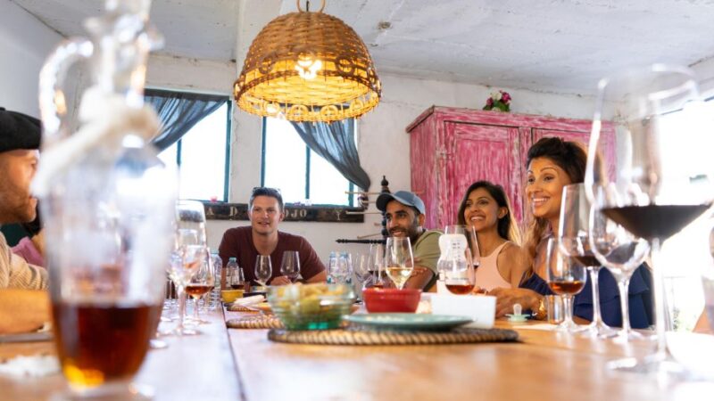 DOURO VALLEY W/ 2 Boutique Wineries, Lunch and 1h Boat Tour - Itinerary Highlights