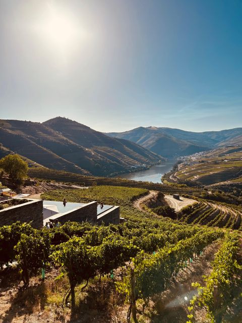 DOURO VALLEY W/ 2 Boutique Wineries, Lunch and 1h Boat Tour - Provesende Wine Tasting